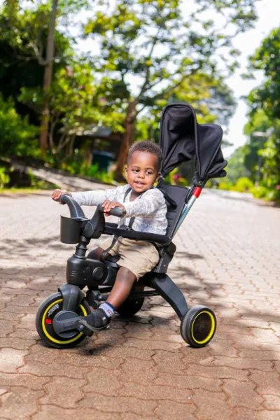 Foldable Trike Tricyle