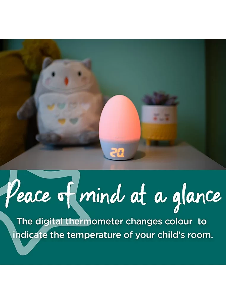 Groegg 2 Nursery Thermometer