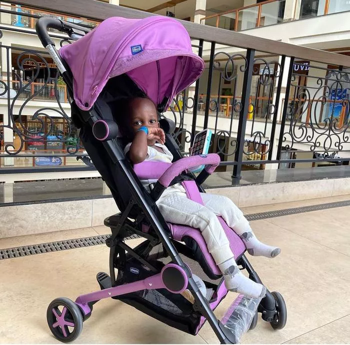 Chicco CH79444-32 Minimo Stroller